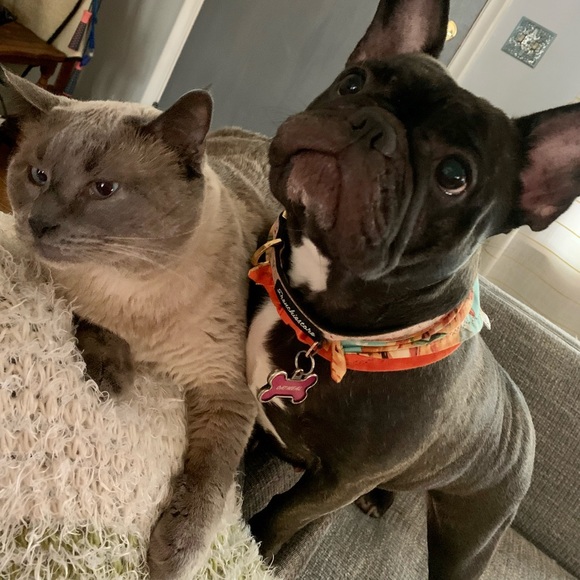 Your seller, Brittany - Picture 12 of 15